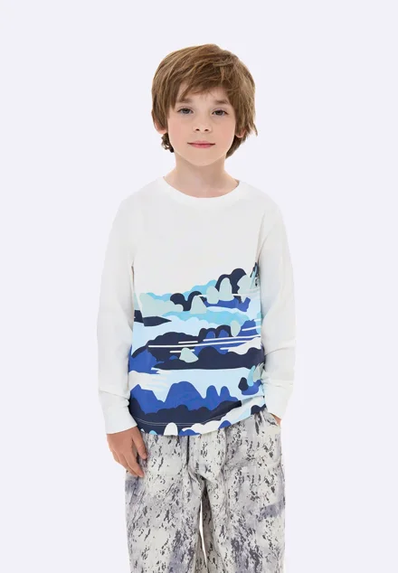 Цвет 0101